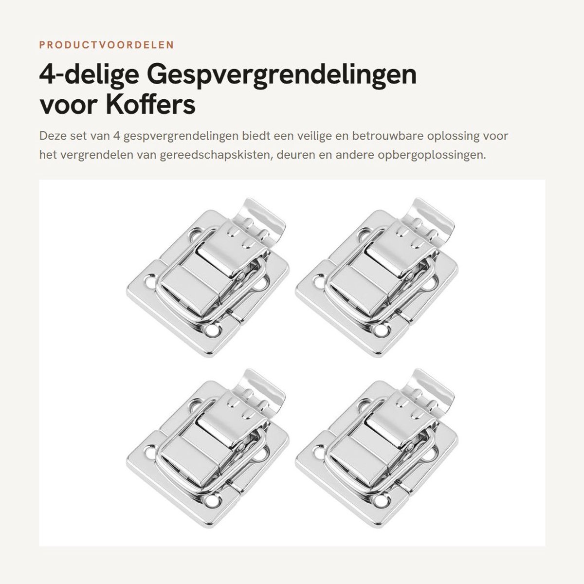 Dailygoods - 4-delige Gespvergrendelingen voor Koffers en Deuren