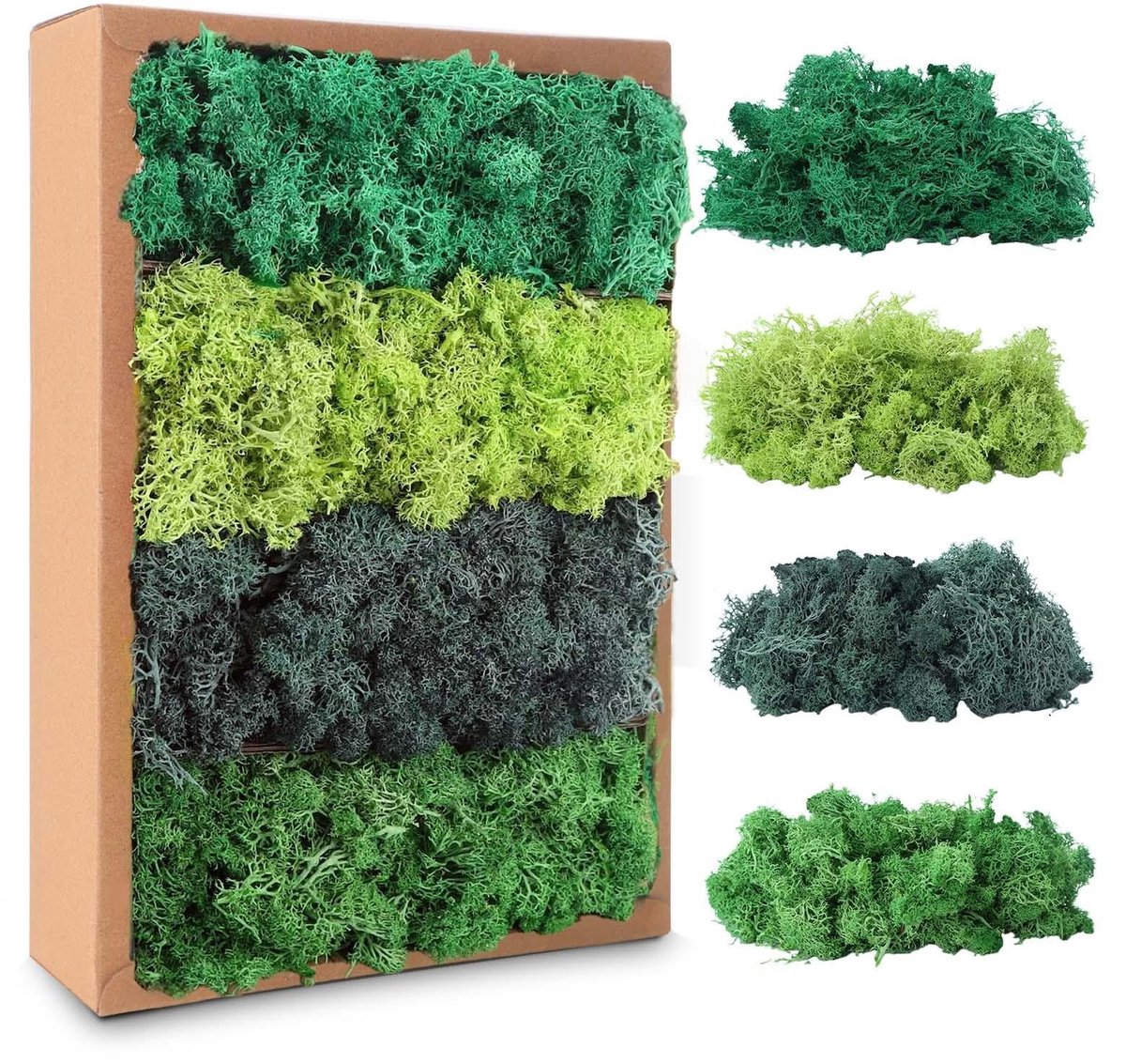 Dailygoods- IJslands Mos 200 g - Geconserveerd Decoratief Materiaal - Knutselmateriaal voor Bloemendecoratie - Natuurlijk Mos - Creatieve DIY Decoratie - 4 Groene Tinten - Decoratiemateriaal