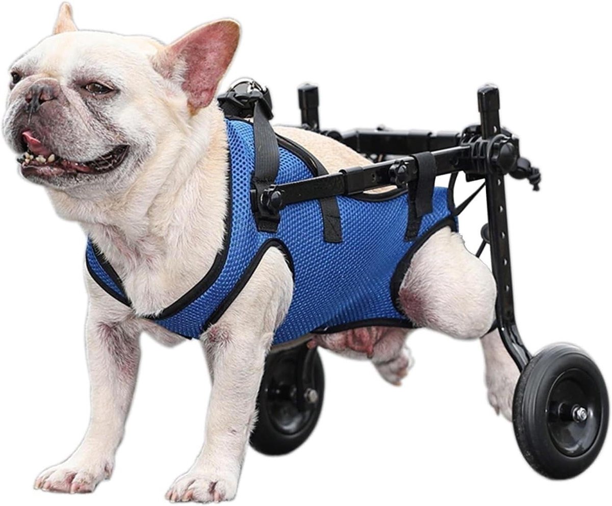 Huisdier Rolstoel - Hond Rolstoel - Mobiliteit Hulp - Verstelbaar Lichtgewicht - XS S M - Zilver