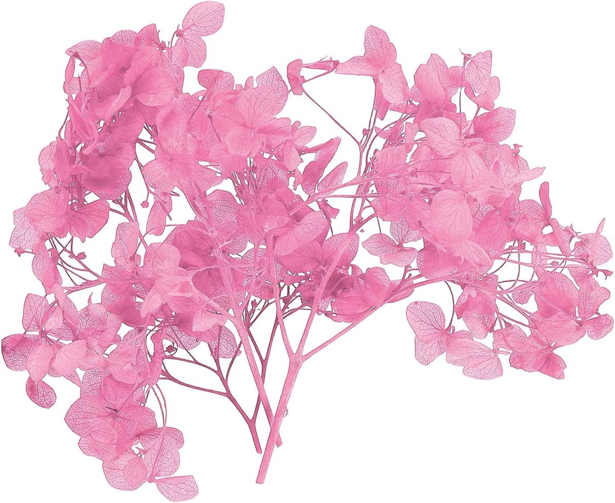 Gedroogde hortensia bloem, 10 g natuurlijke geperste bloemen, echte hortensia's bloemblaadjes voor doe-het-zelf hars ambachten kaart bloemen cadeau kaars maken decor, roze