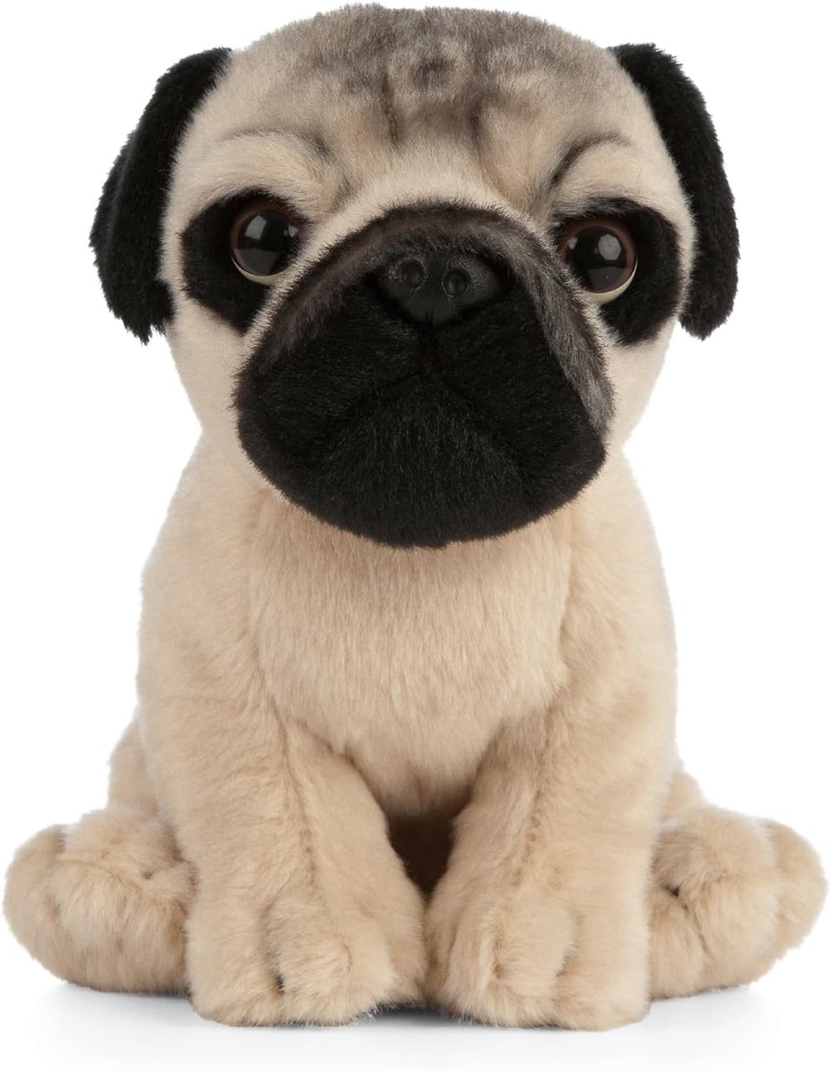Nature Knuffeldier dweil puppy met knuffeldier (16 cm)