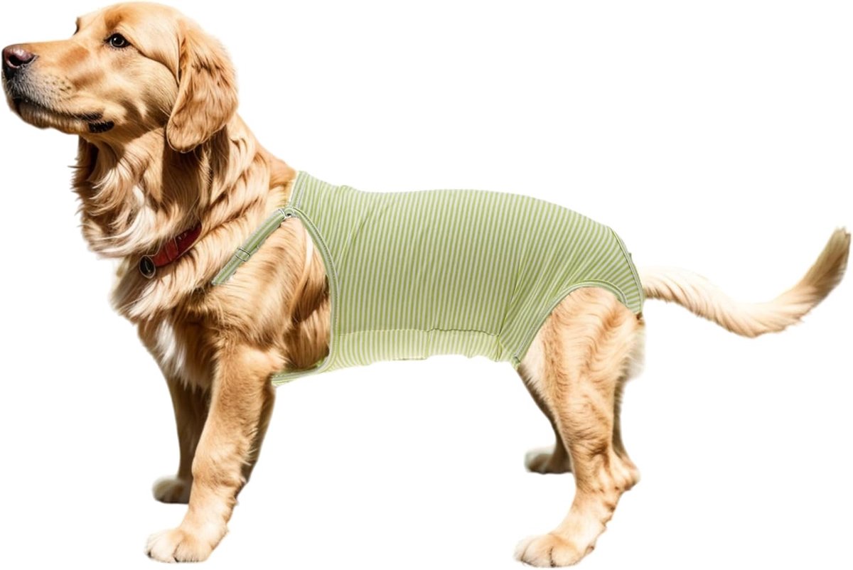 Luiers, Hondenbretelslip, S, Groen | Wasbaar en herbruikbaar, voor kleine en middelgrote honden en katten, maat S, absorberend, zacht, zacht