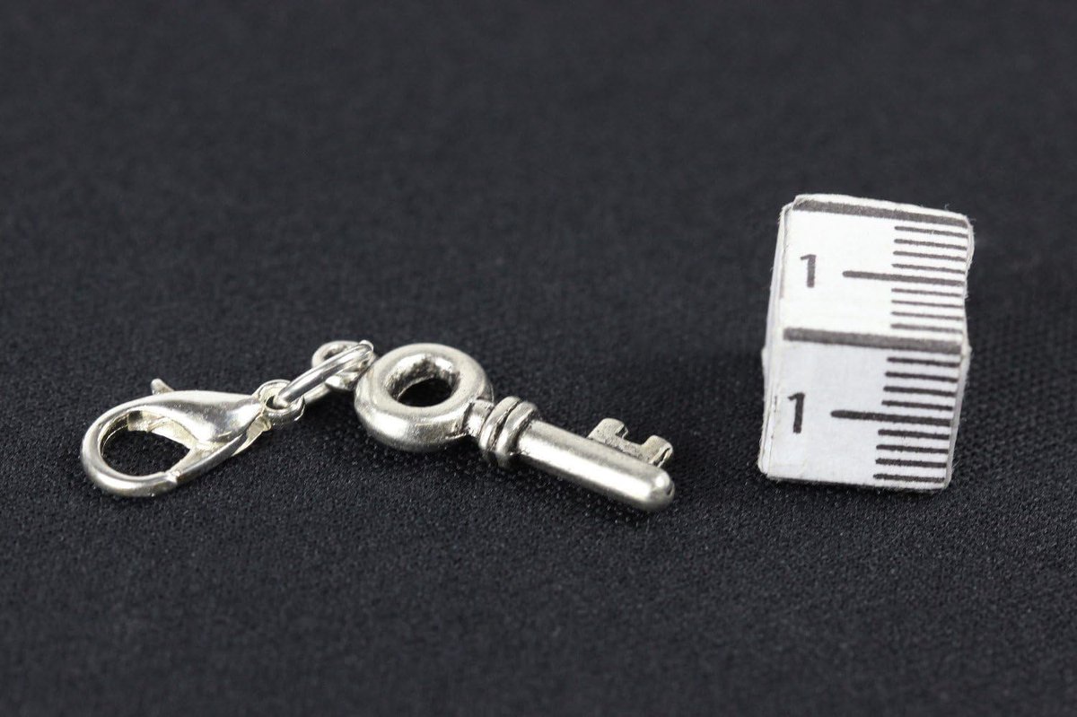 Sleutel Charm Zipper Pull Schatz Geheim Zilver Rond - Handgemaakte Modesieraden I Ketting Hanger Verzilverd - Bedelhanger Bedelarmband - Hanger voor Armband, 17mm, Metaal