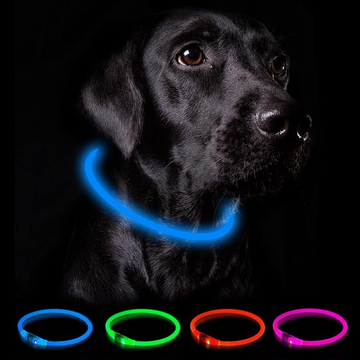 Thijox - Lichtgevende Hondenhalsband USB Oplaadbaar - Waterdichte Verstelbare Hondenhalsband voor Veiligheid in het Donker - Ideaal voor Wandelen, Avo