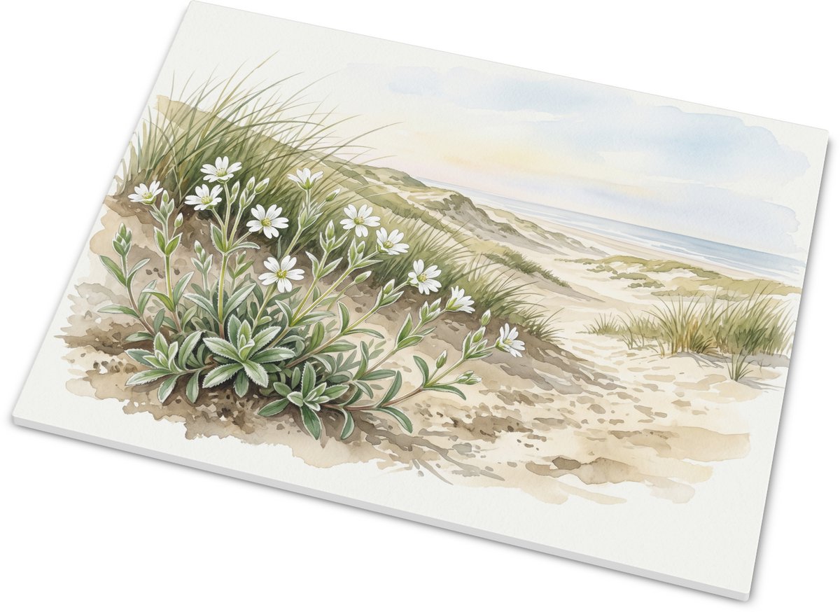 Liggend tegeltje met zandhoornbloem in Nederlandse kustduinen - Witte aquarel illustratie 