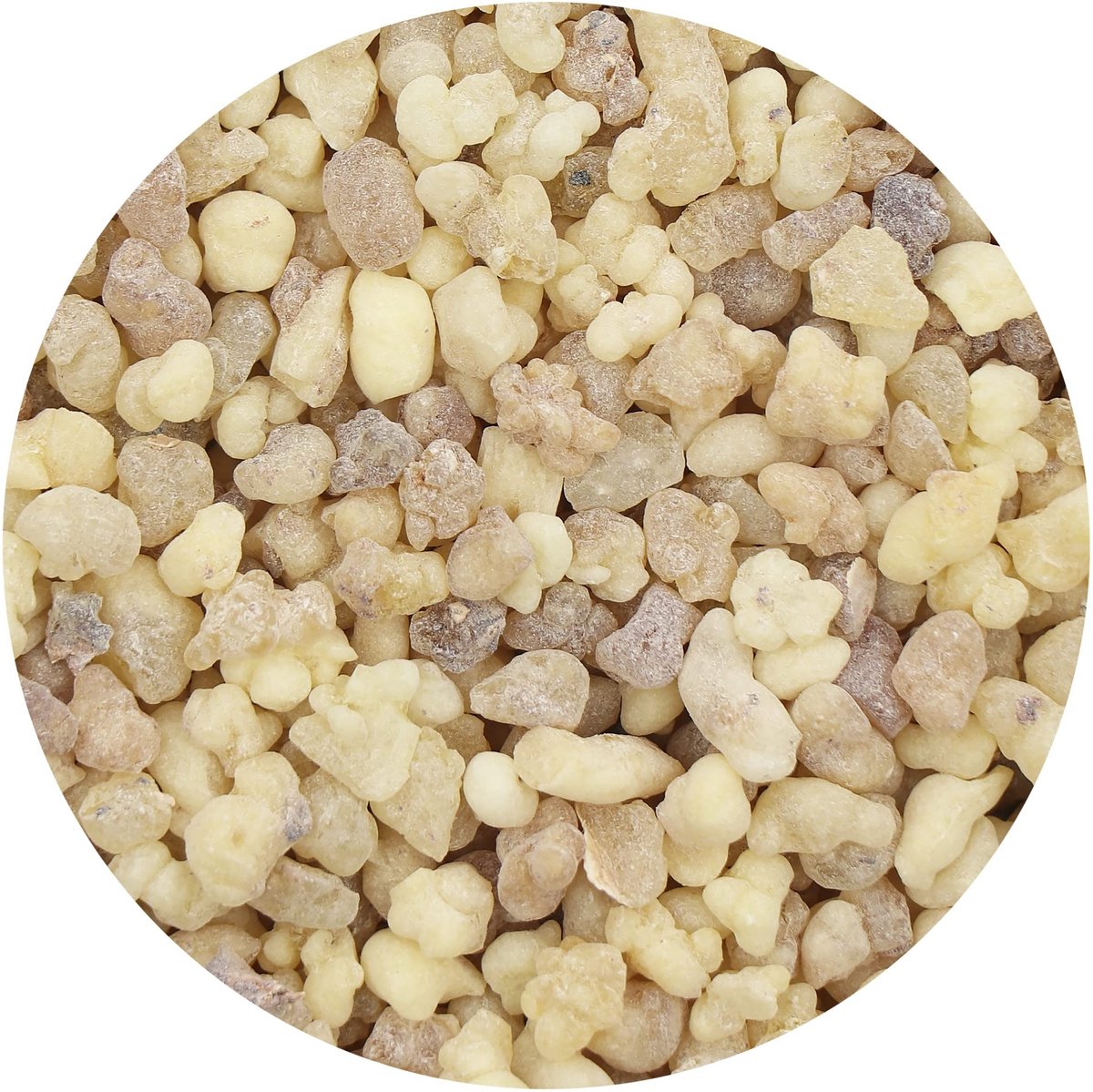 Dailygoods- Wierook Olibanum - Natuurlijke Hars - Boswellia Papyrifera - Kruidige Geur - Rustgevende Sfeer - 100g