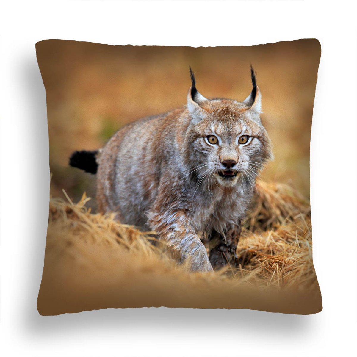 Decoratief Kussen 50x50cm - Lynx in Gras - Zacht Polar