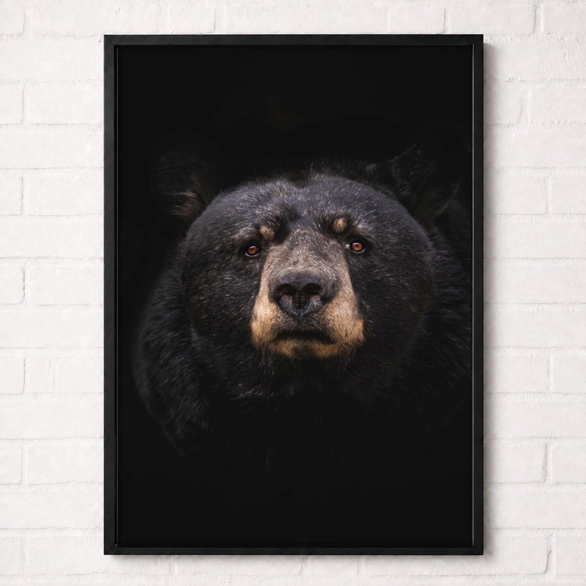 Zwarte Beer Portret Poster - Wildlife Portrait Collection - Natuur Posters - A2+ 43,2 x 61 cm