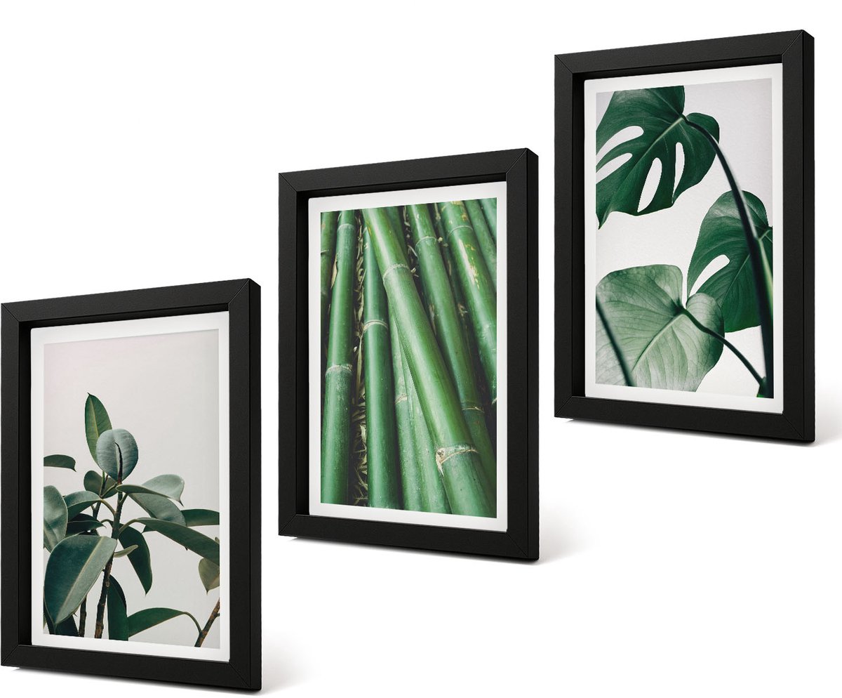Coloray 4-Delige Schilderij Set - Bamboe stengels, kamerplanten en Monstera bladeren - 20 x 30 cm - Schilderijen Set - Wanddecoratie - Woonkamer - Moderne Wanddecoratie