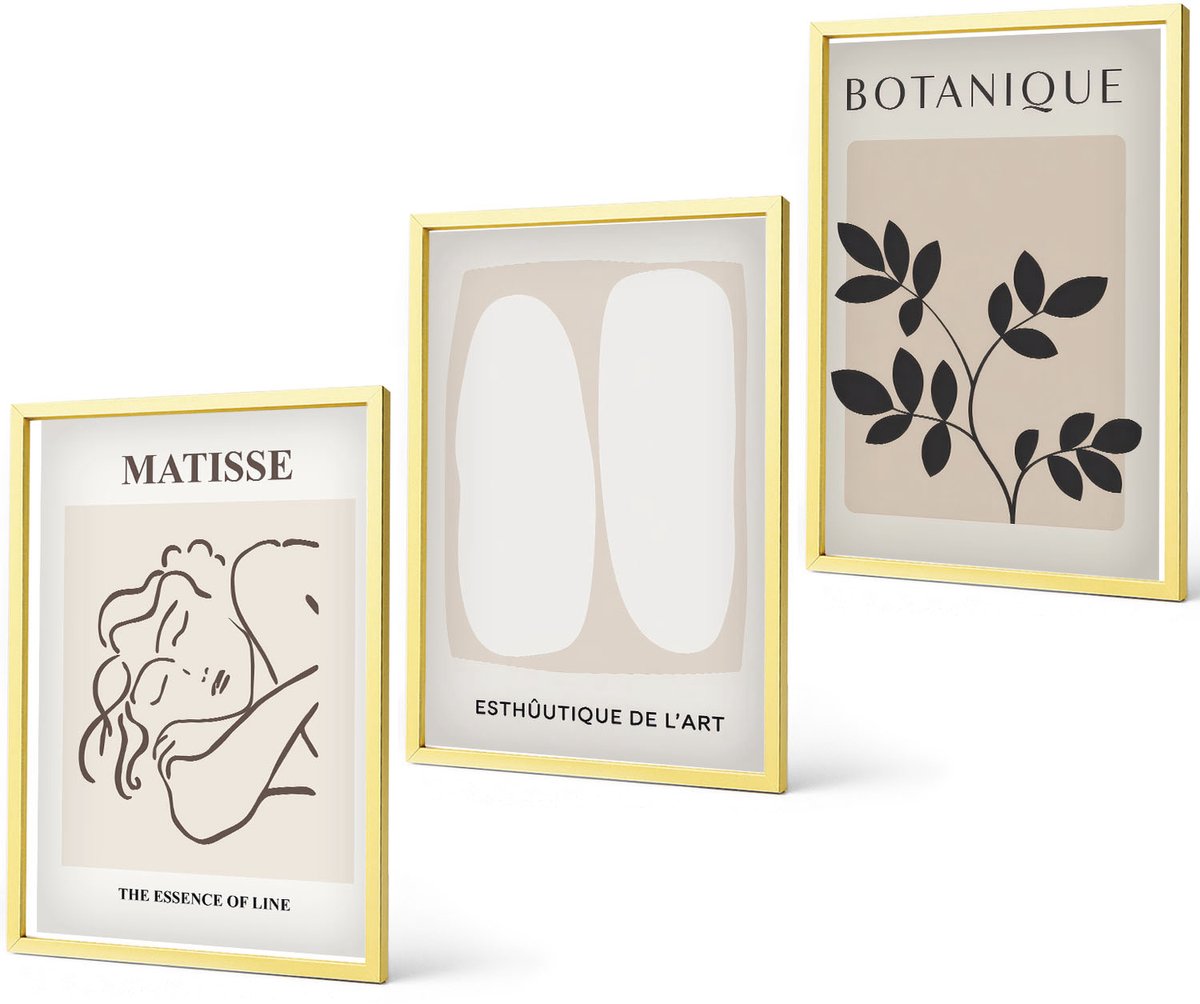 Coloray 3-Delige Schilderij Set - Stijlvolle Minimalistische Schilderijen Met Plantmotieven Van Matisse - 40 x 40 cm En 40 x 60 cm - Stijlvolle Wanddecoratie - Interieur - Muurdecoratie