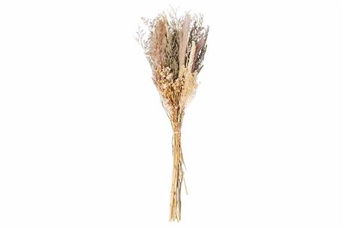Boeket Dried Flowers Natuur 25x10xh75cm