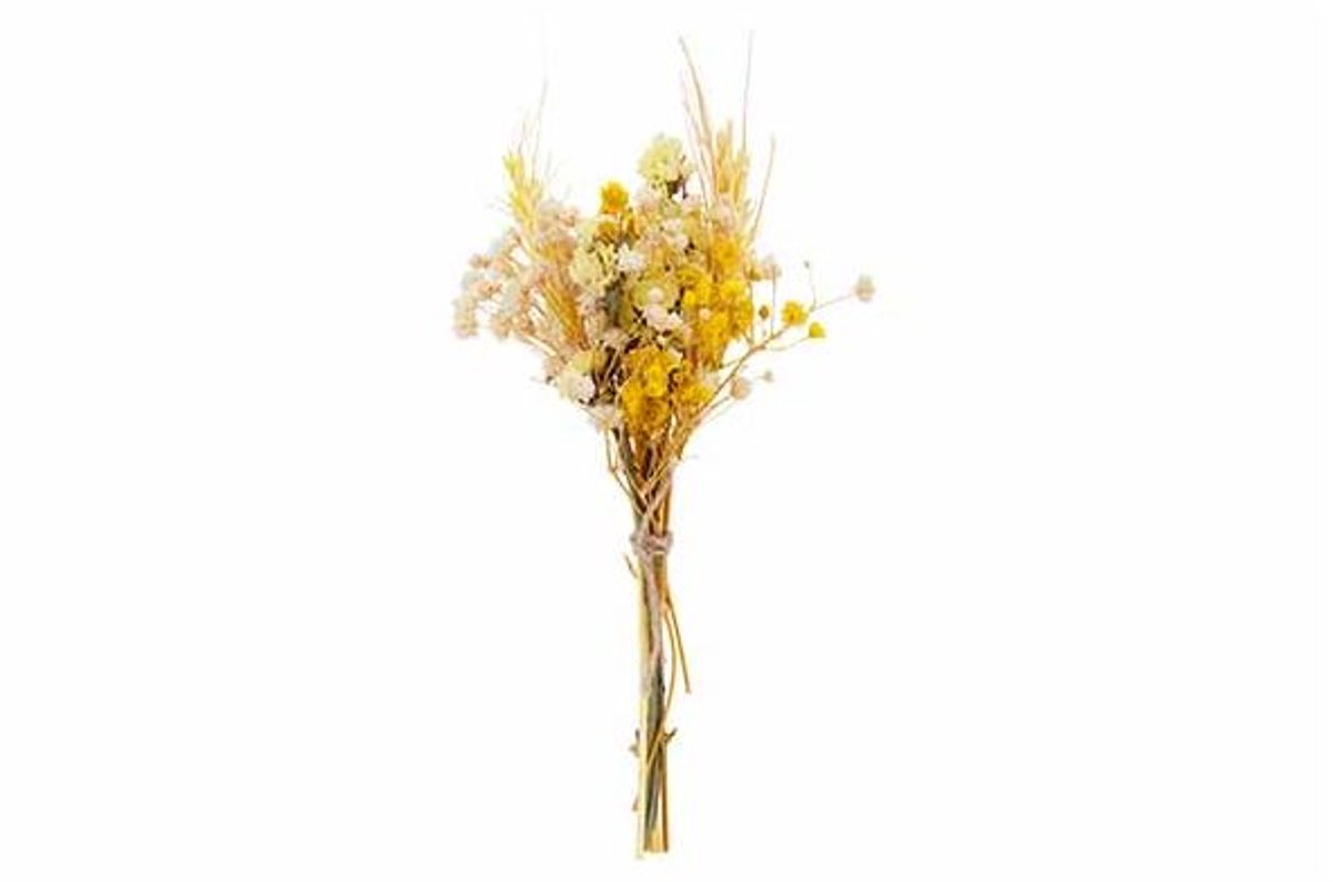 Boeket Dried Flowers Geel H20cm
