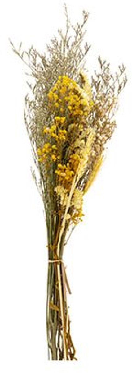 Boeket Dried Flowers Geel 27x13xh60cm