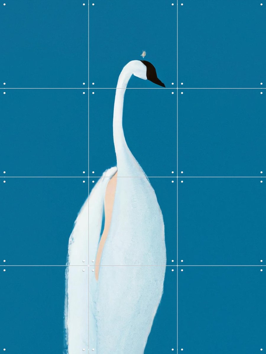 IXXI Swan Maybe, Interiorisla - 60 x 80 cm - Gratis ophangtool - Grote wanddecoratie en posters - Minimalisme, Illustraties, Abstract, Woonkamer