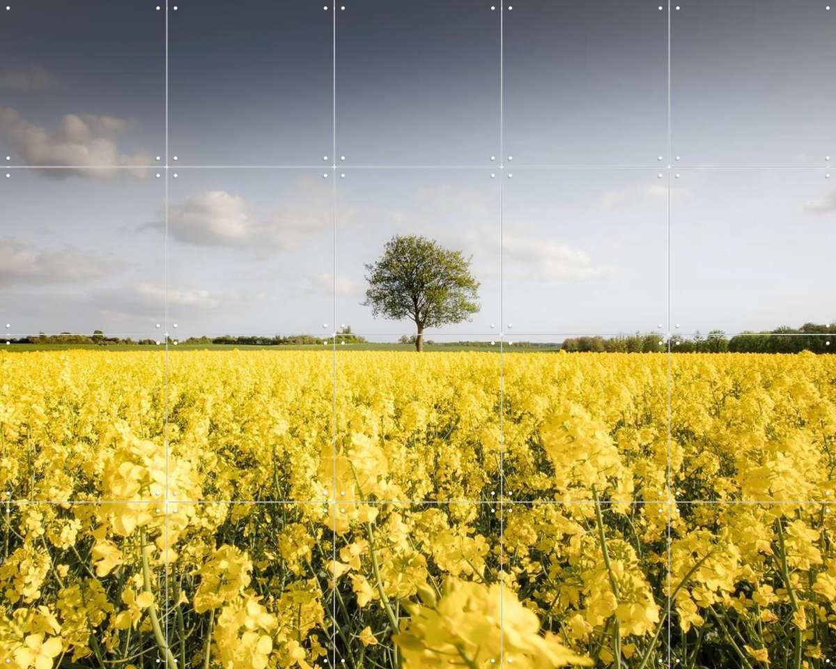 IXXI Golden Field Morning, Claire Droppert - 100 x 80 cm - Gratis ophangtool - Grote wanddecoratie en posters - Fotografie, Woonkamer, Studeerkamer