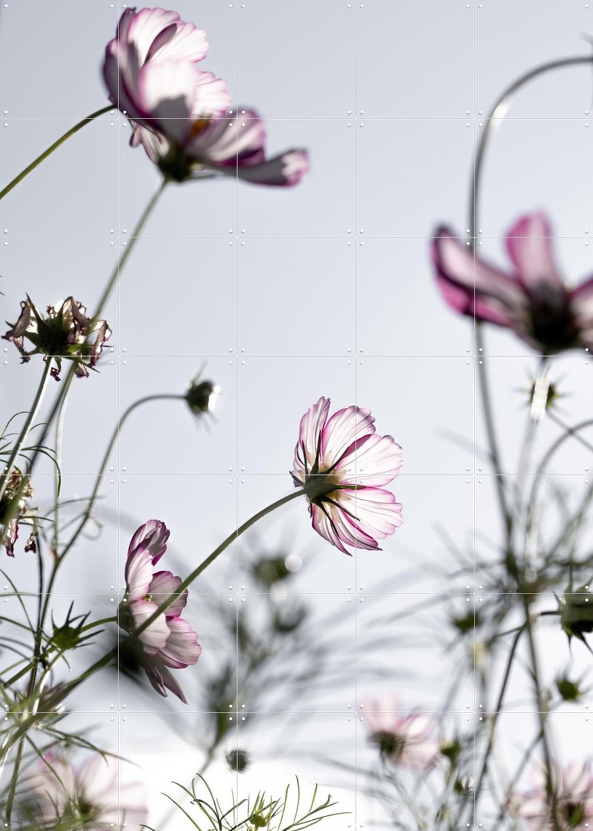 IXXI Wild Flowers, Mareike Böhmer - 100 x 140 cm - Gratis ophangtool - Grote wanddecoratie en posters - Fotografie, Slaapkamer, Woonkamer, Eetkamer