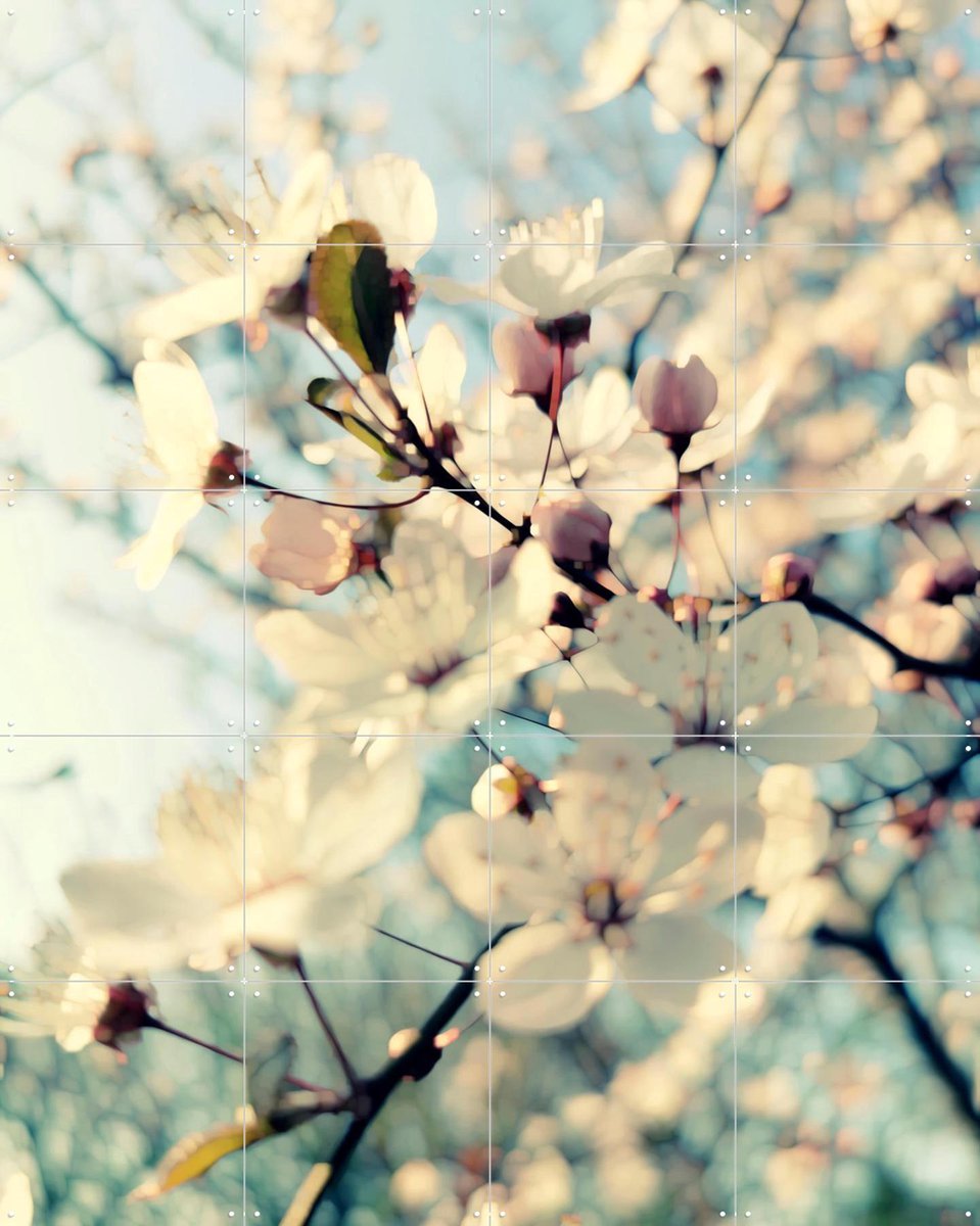 IXXI First Day of Spring, Angelo Cerantola - 80 x 100 cm - Gratis ophangtool - Grote wanddecoratie en posters - Fotografie, Slaapkamer, Gang