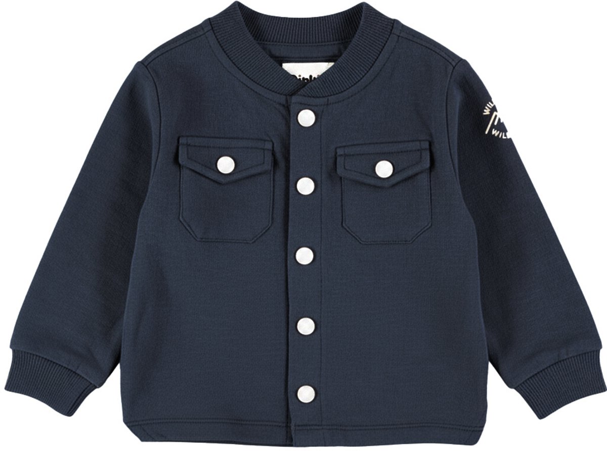 Dirkje Jongens Vest - Blueberry