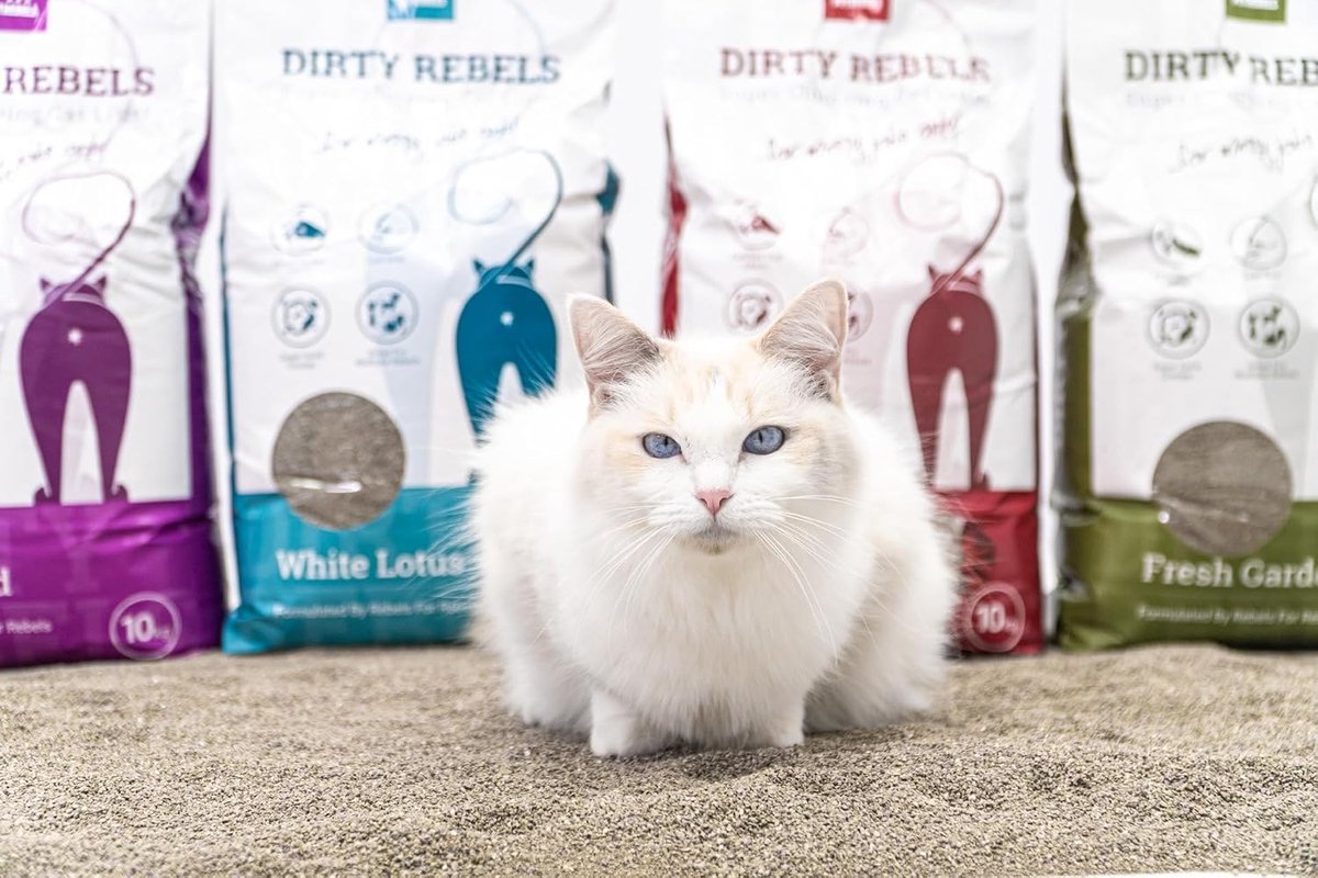 SnelShoppen - Kattenbakvulling 2 x 10 Liter, 100% Natuurlijk, Sterke Klonten, Vers Tuin Geur, Voor Eén of Meer Katten