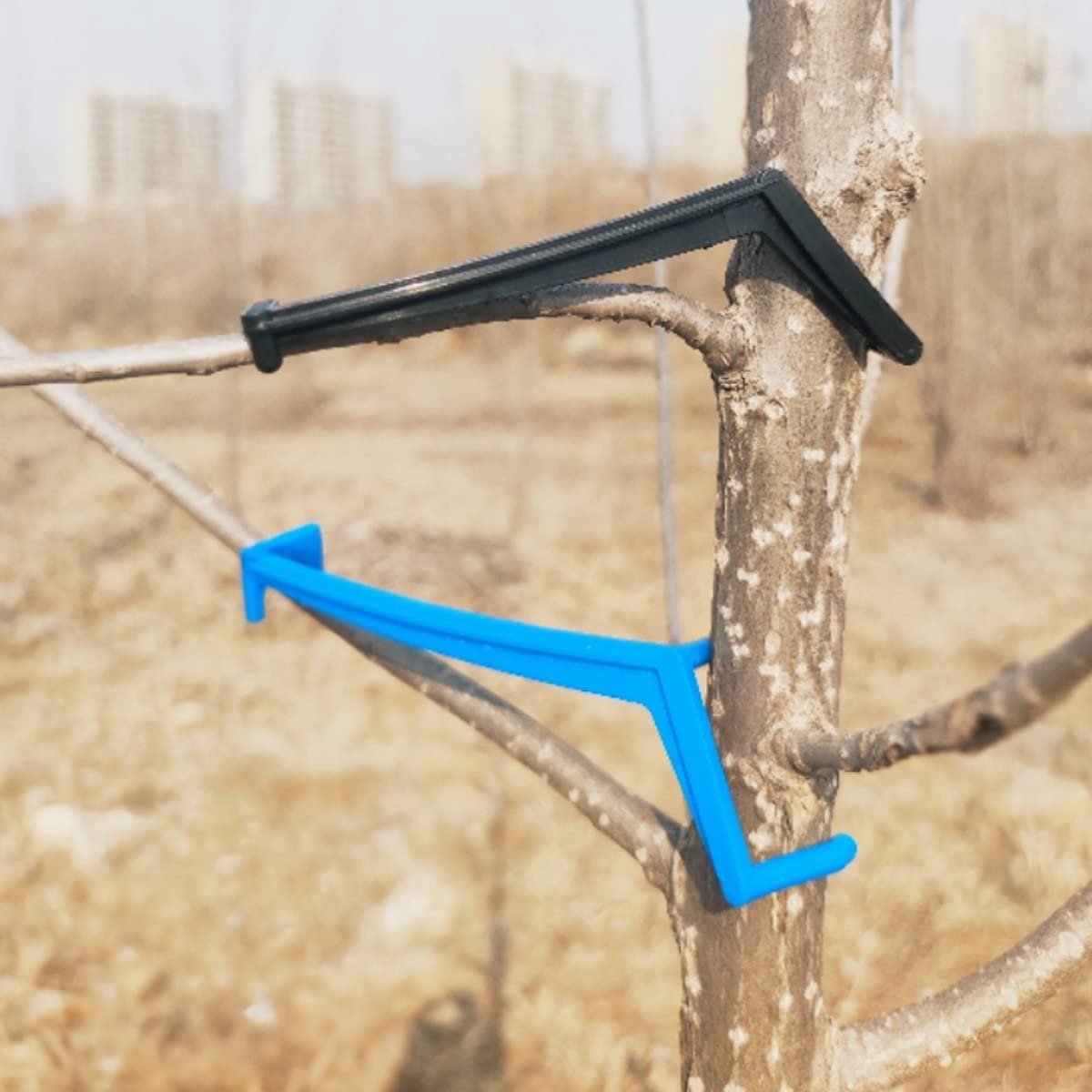 SnelShoppen - Cunguv Boomverspreiders Fruitboom Takverspreiders 30 Stuks Appelboom Takkenondersteuning Blauw en Zwart voor Sterkere Takken en Nieuwe G