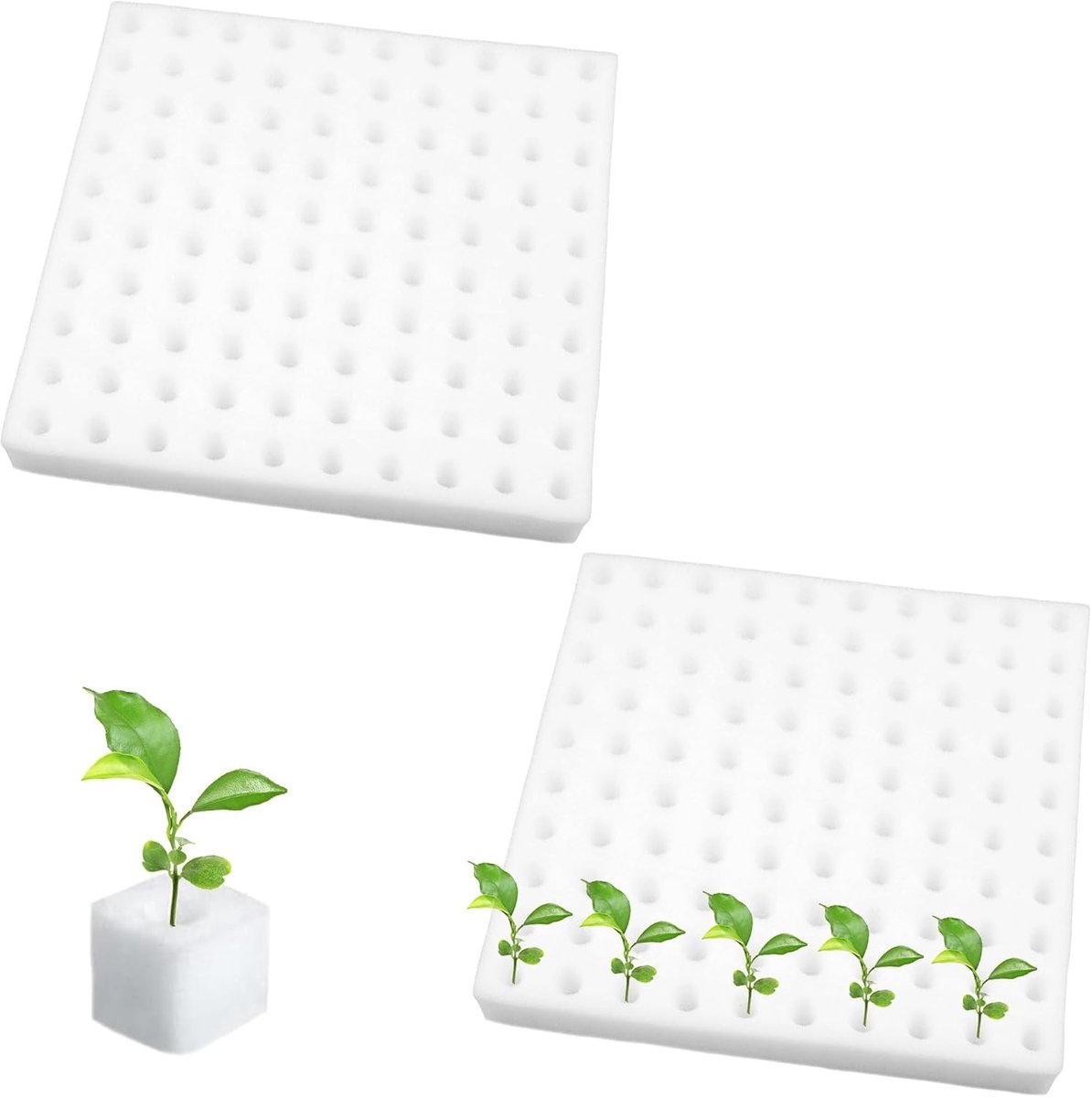 200 Stuks Vierkante Zaadling Sponsen voor Hydroponische Tuinbouw, Groene Huizen en Plantenverzorging