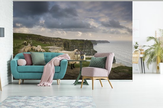 Behang - Fotobehang Schapen in Ierland - Breedte 360 cm x hoogte 240 cm