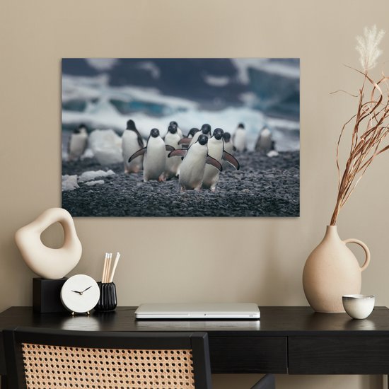 Adelie pingouins sur la plage poster papier 90x60 cm - Tirage photo sur Poster (décoration murale salon / chambre) / Poster Animaux sauvages