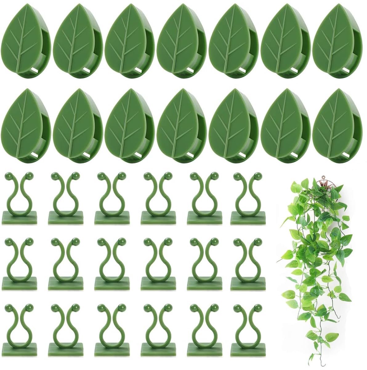 Plantenstokken, bevestigingsclips voor klimplanten, voor kamerplanten, klimop Philodendron