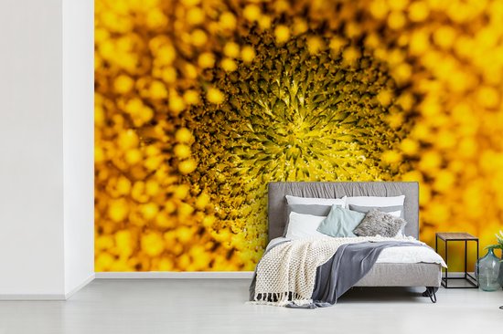 Papier peint - Papier peint photo peint - Noyau gros plan d'un tournesol - Largeur 420 cm x hauteur 280 cm