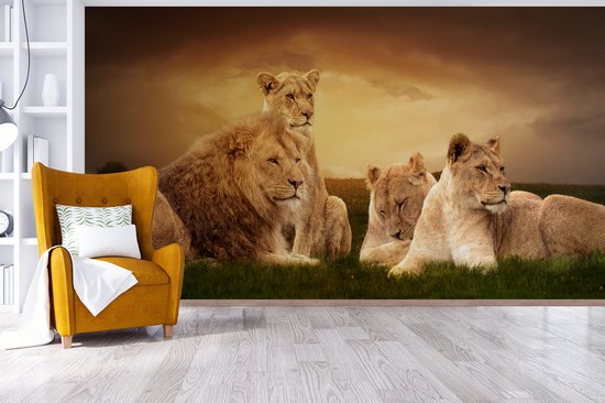 Papier peint - Papiers Papier peint photo Lions - Herbe - Ciel - Largeur 395 cm x Hauteur 220 cm