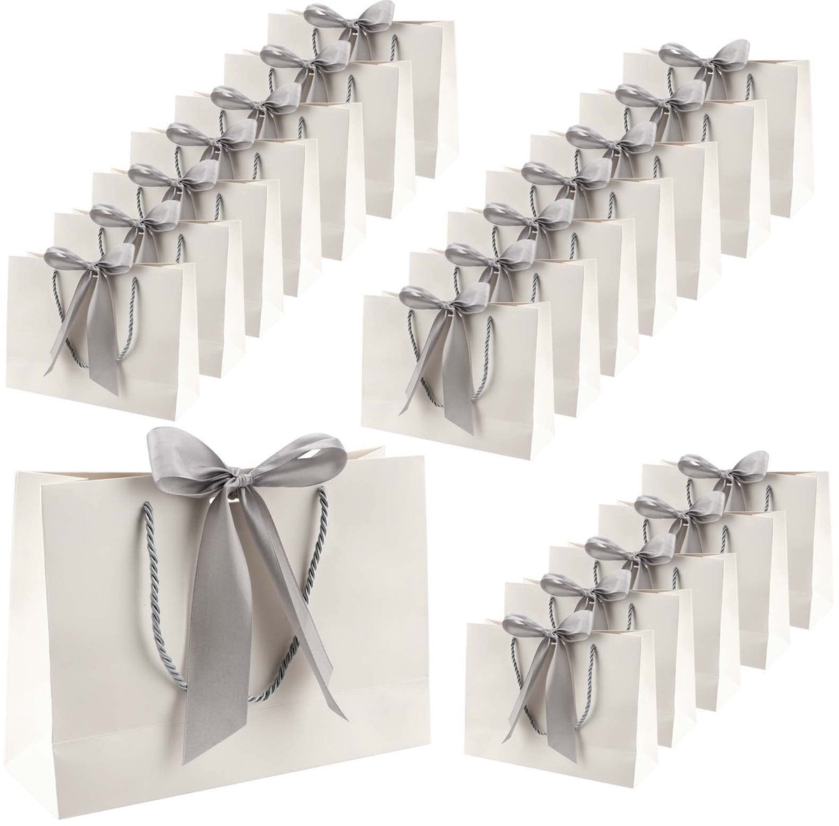 Dailygoods- Geschenkzakjes 20 stuks - Papieren Geschenktas - Feestzakjes met Handgrepen - Cadeautas voor Verjaardag - Bruiloft/Kerstmis - Afmetingen (L) 28 x (H) 20 x (B) 10 cm