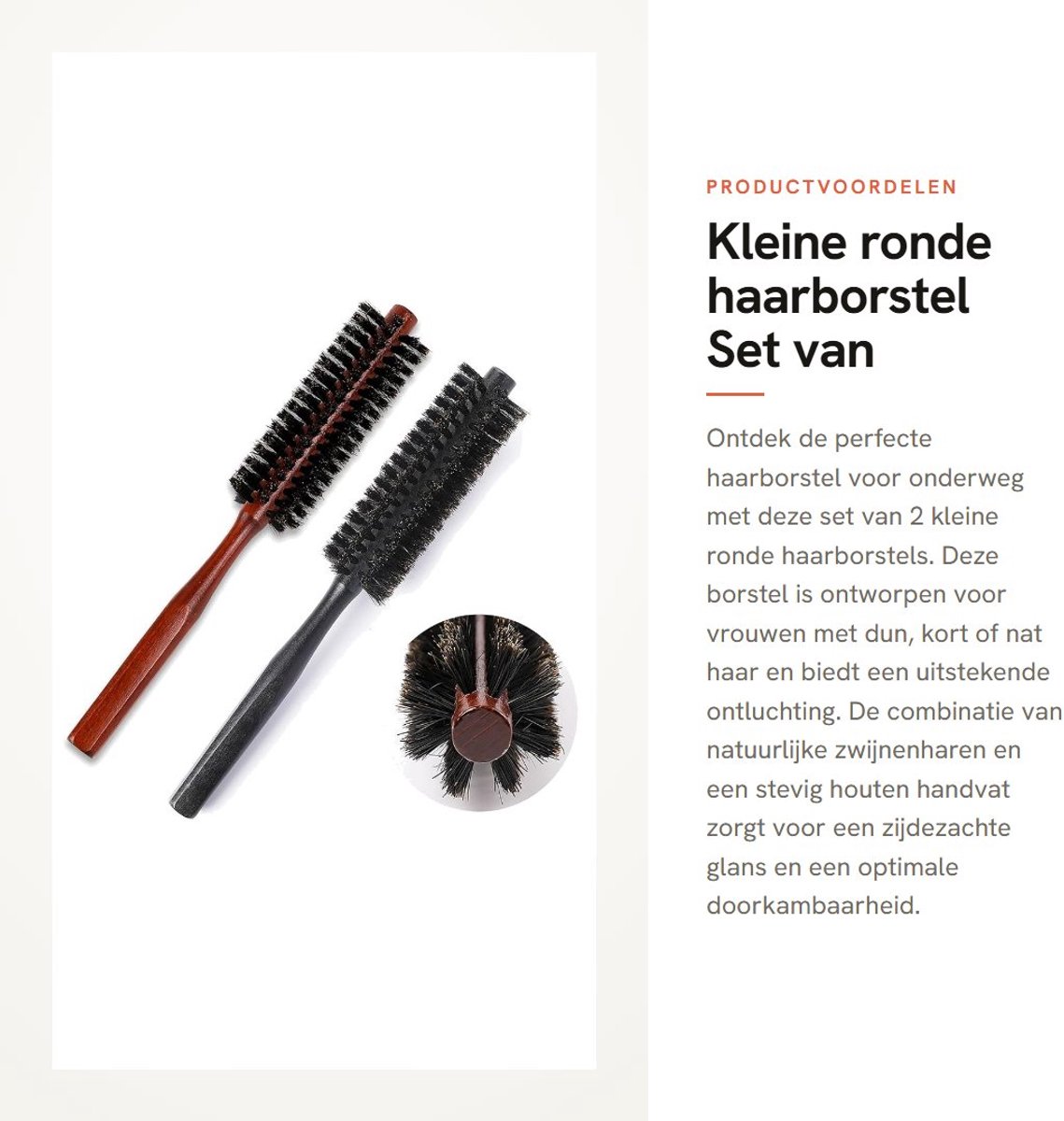 Dailygoods- Haarborstel Varkenshaar - Set van 2 - Ronde Haarborstel - Houten Handvat - Draagbaar - 21 cm - Zacht voor Hoofdhuid - Stylingborstel