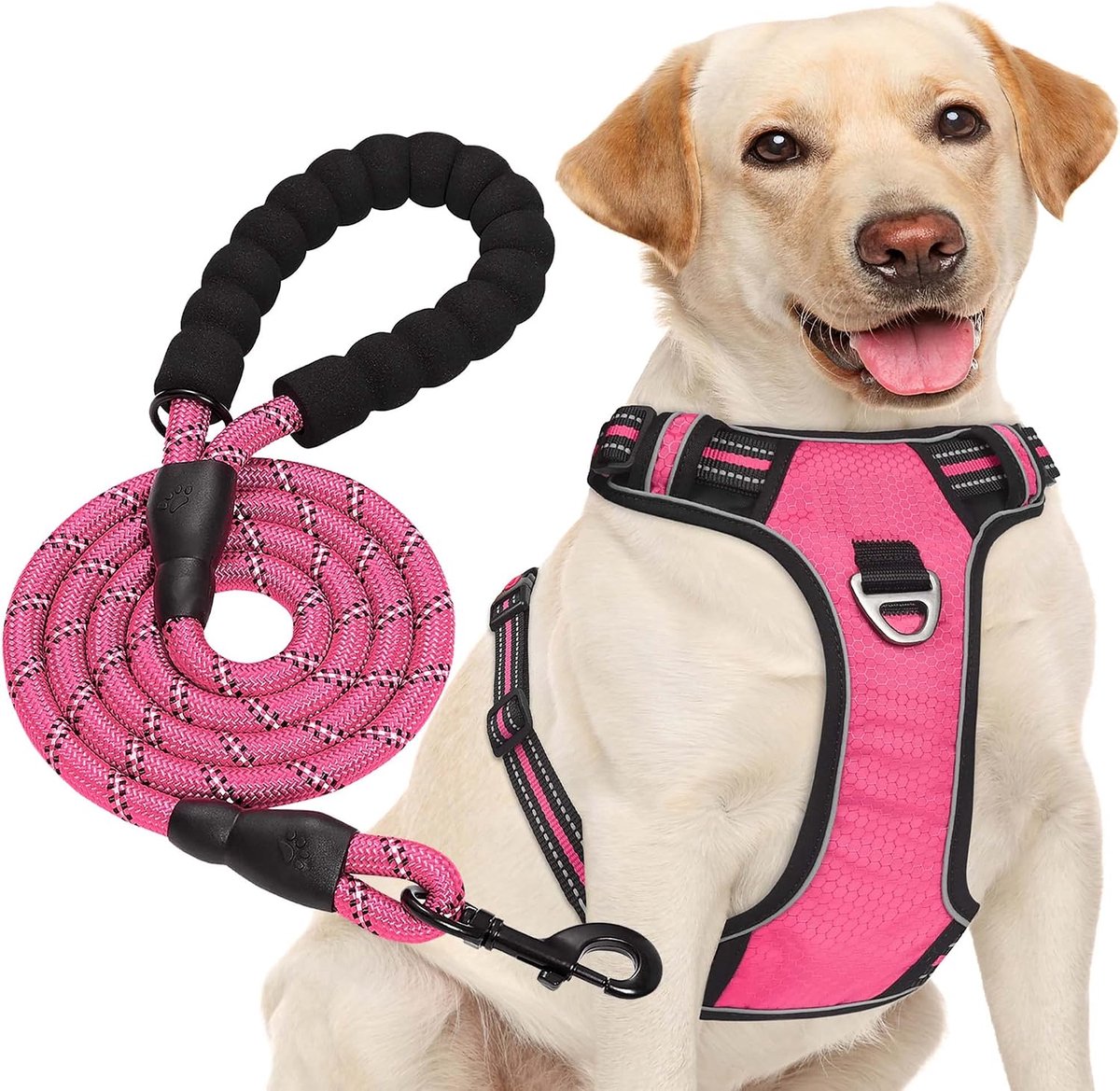 Haapaw Geen Pull Hond Harnas Verstelbare Reflecterende Oxford Easy Control Medium Grote Hond Harnas met een Gratis Heavy Duty Hond Lood
