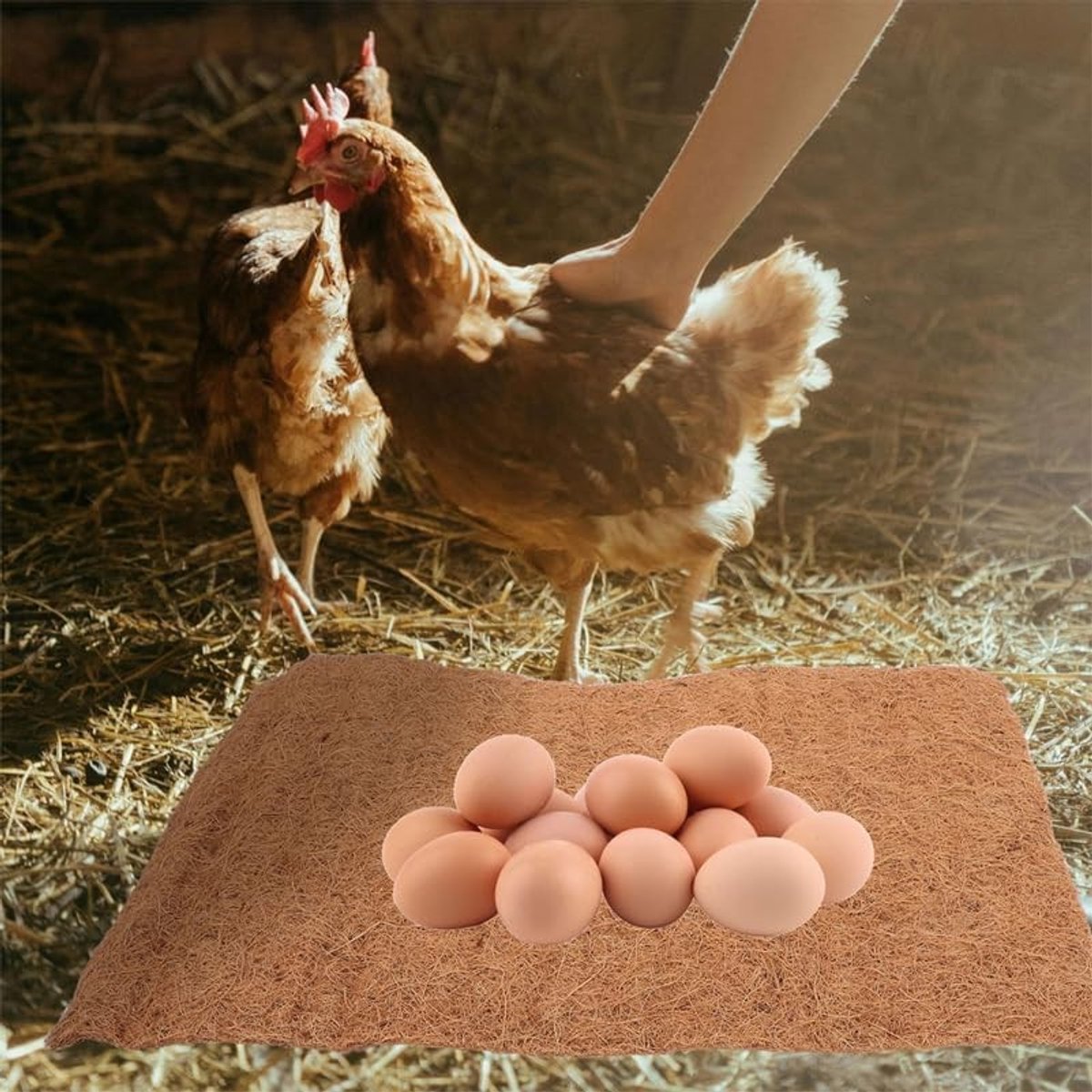 4 Stuks Kippenhok Nestmatten van Kokosvezel - Legkussen voor Kippen, Hangmand en Plantenbedden, Ideaal voor Nestgelegenheid en Comfort