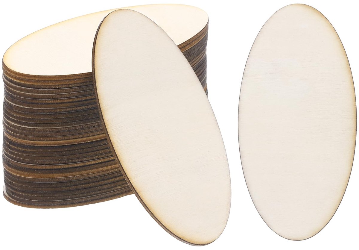 20 Stuks Houten Platen 40x20mm voor Creatieve Projecten