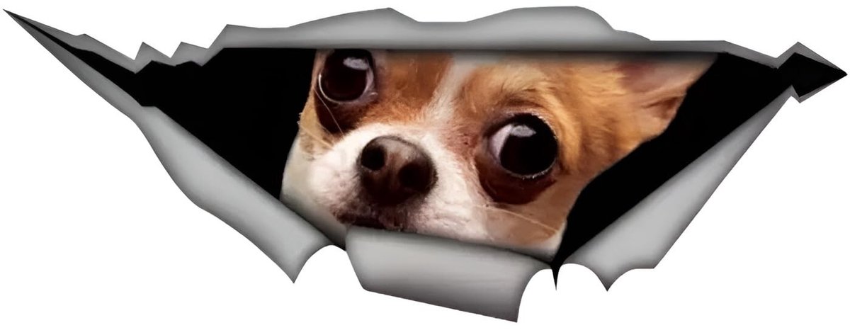 SolidKeus - Chihuahua Autosticker 3D Design