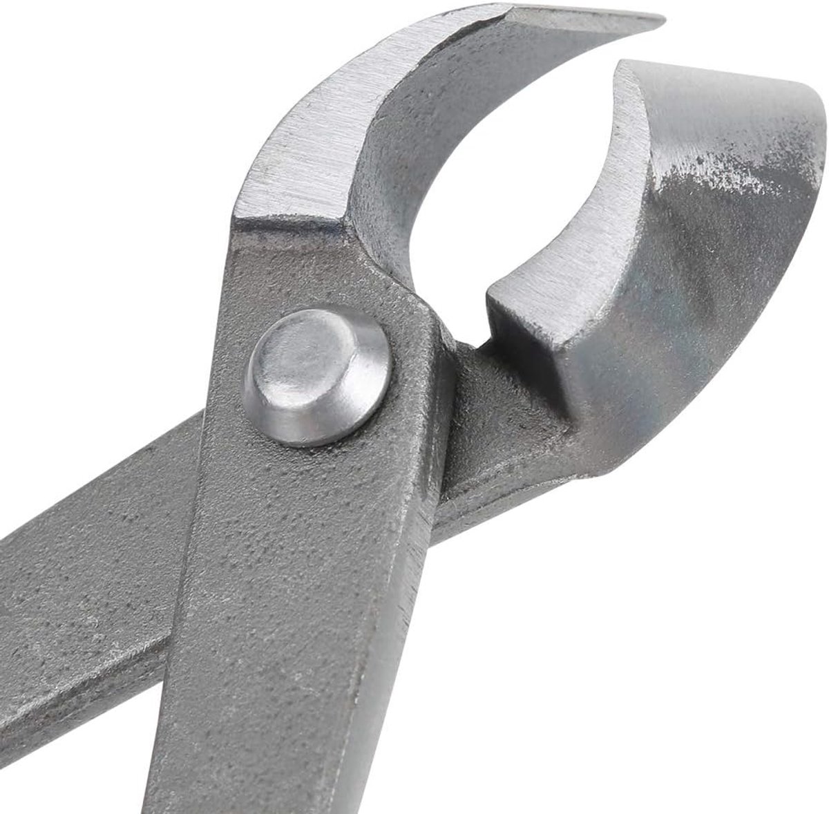 SnelShoppen - Hand-Bonsai Tak Snijmes - Multi-Functionele Bonsai Tool voor Boomtakken Snijden - RVS Tuin Gereedschap - Ergonomisch Handvat - Voor Tuin
