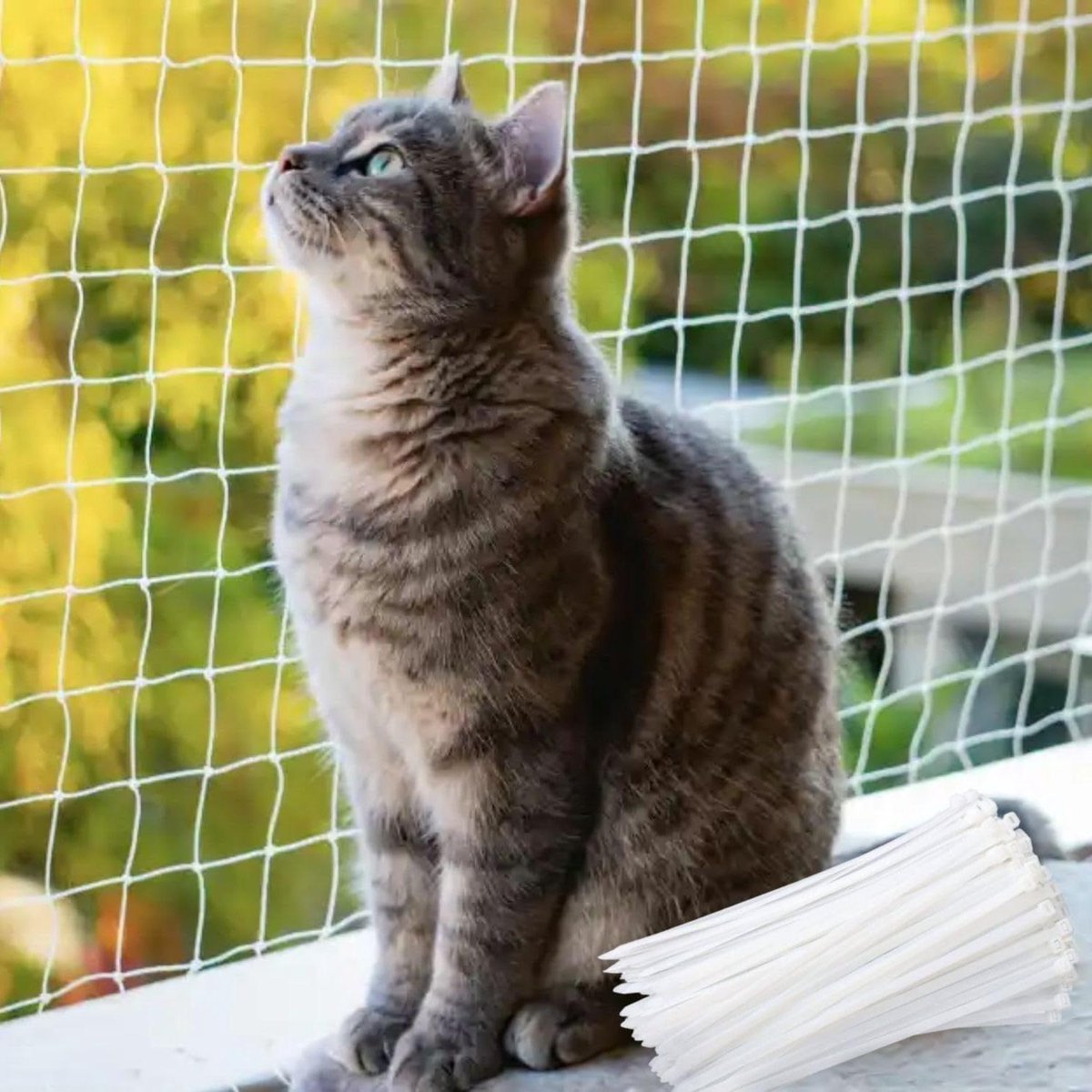 Kattennet Balkon - Veiligheidsnet Kat - Huisdier Beveiligen - Montage Zonder Boren - 6 x 3 Meter - Zwart