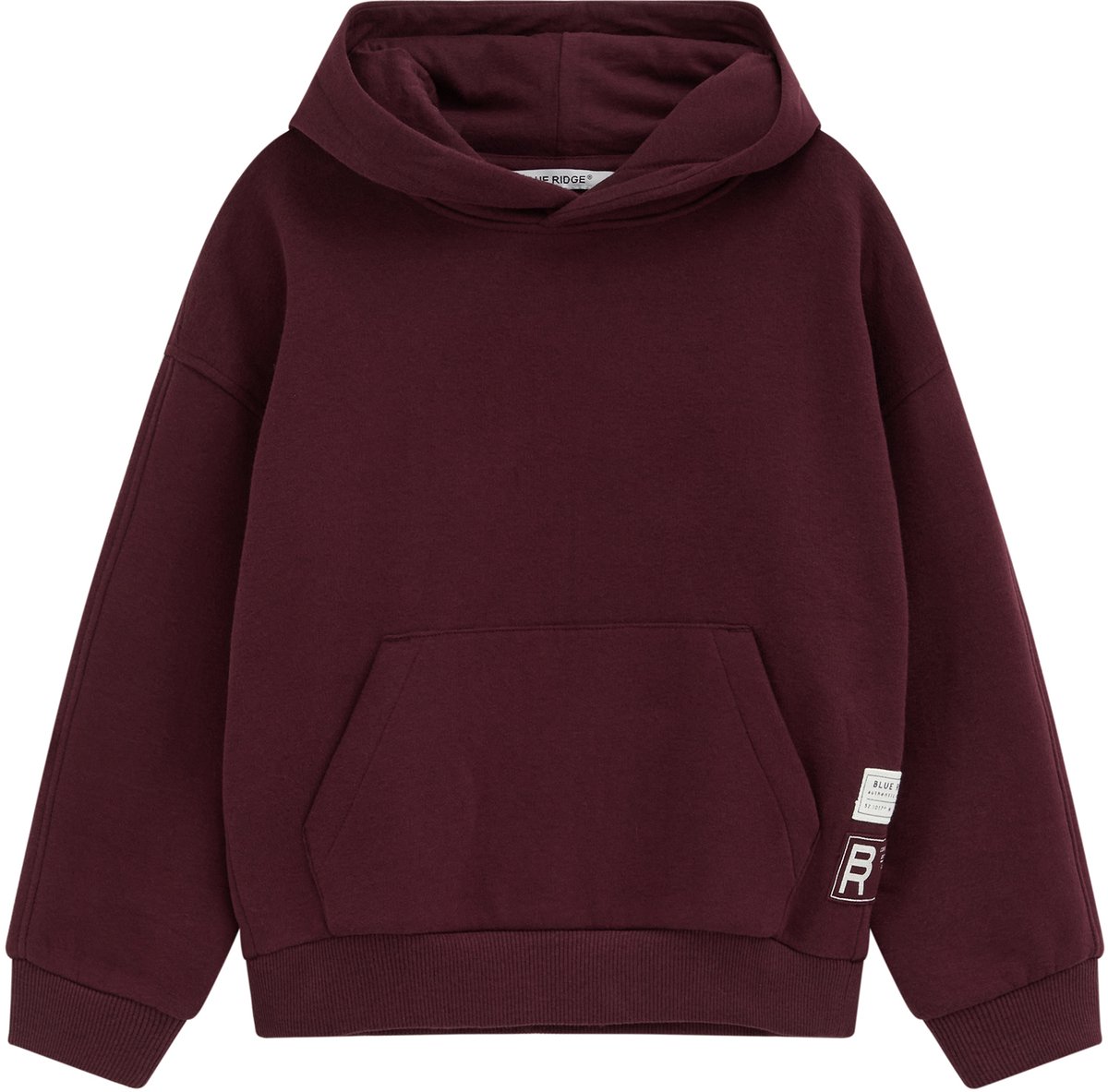 WE Fashion Jongens relaxed fit hoodie