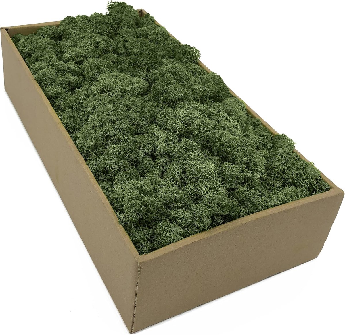 IJslands mos 500 g - natuurlijke kleur - duurzaam en levendig - ideaal voor decoratie - ShopVlot