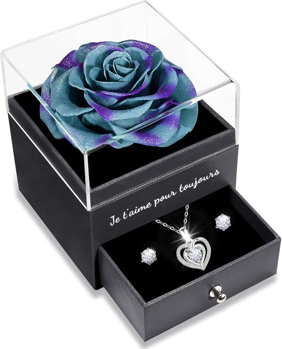 Eeuwige roos met fonkelende sieradenset, verjaardagscadeau voor vrouwen, natuurlijke eeuwige roos, Ik hou voor altijd van je in het Frans, Valentijnsdagcadeaus voor haar, koninklijke roos