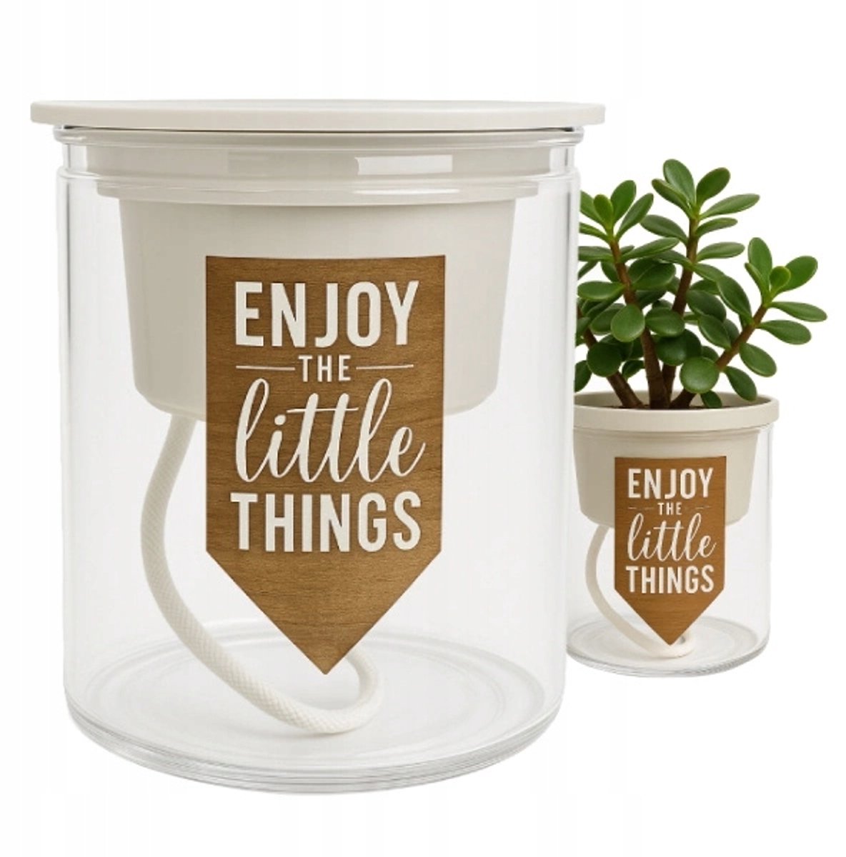 Zelfwaterende Pot 10,2cm Transparant - Automatische Plantenbak