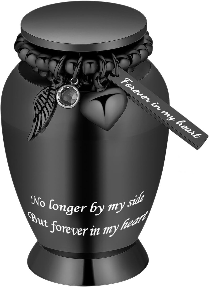 Kleine urnen voor as - mini crematie urn met vleugels charme - veilige opslag - herdenkingsgeschenk - ShopVlot