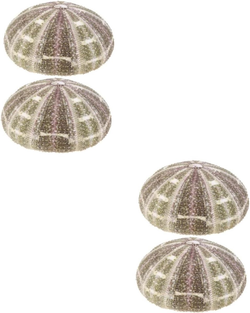 Zee-egel Ornamenten - Schelpen Decoratie - Huis Verfraaien - Natuurlijke Schelp - 10.5X10.5CM - Diverse Kleuren