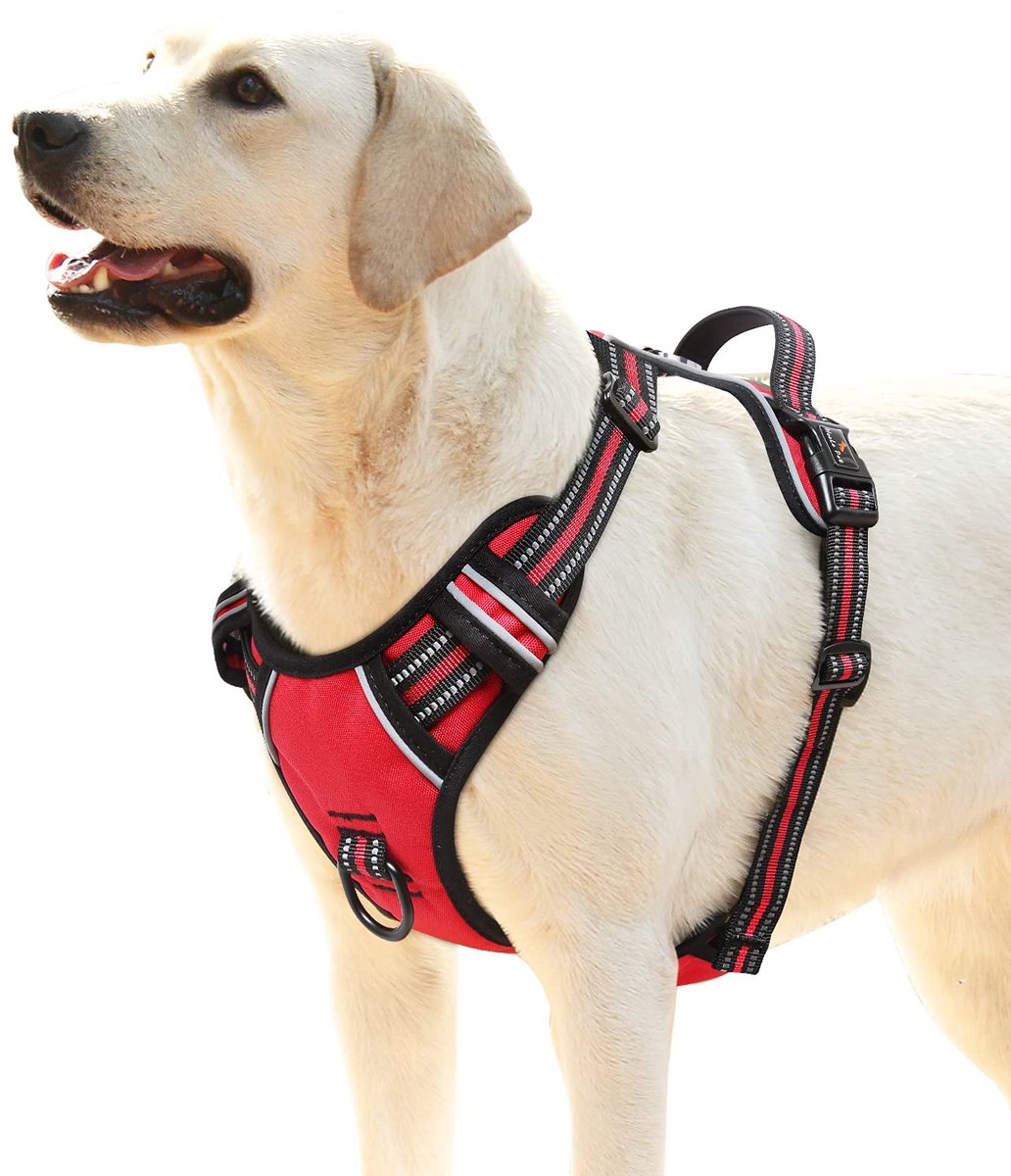 Hondentuig Hondenharnas XL - Rood - Reflecterend - Geen Trek Harnas voor Buitentraining - ShopVlot