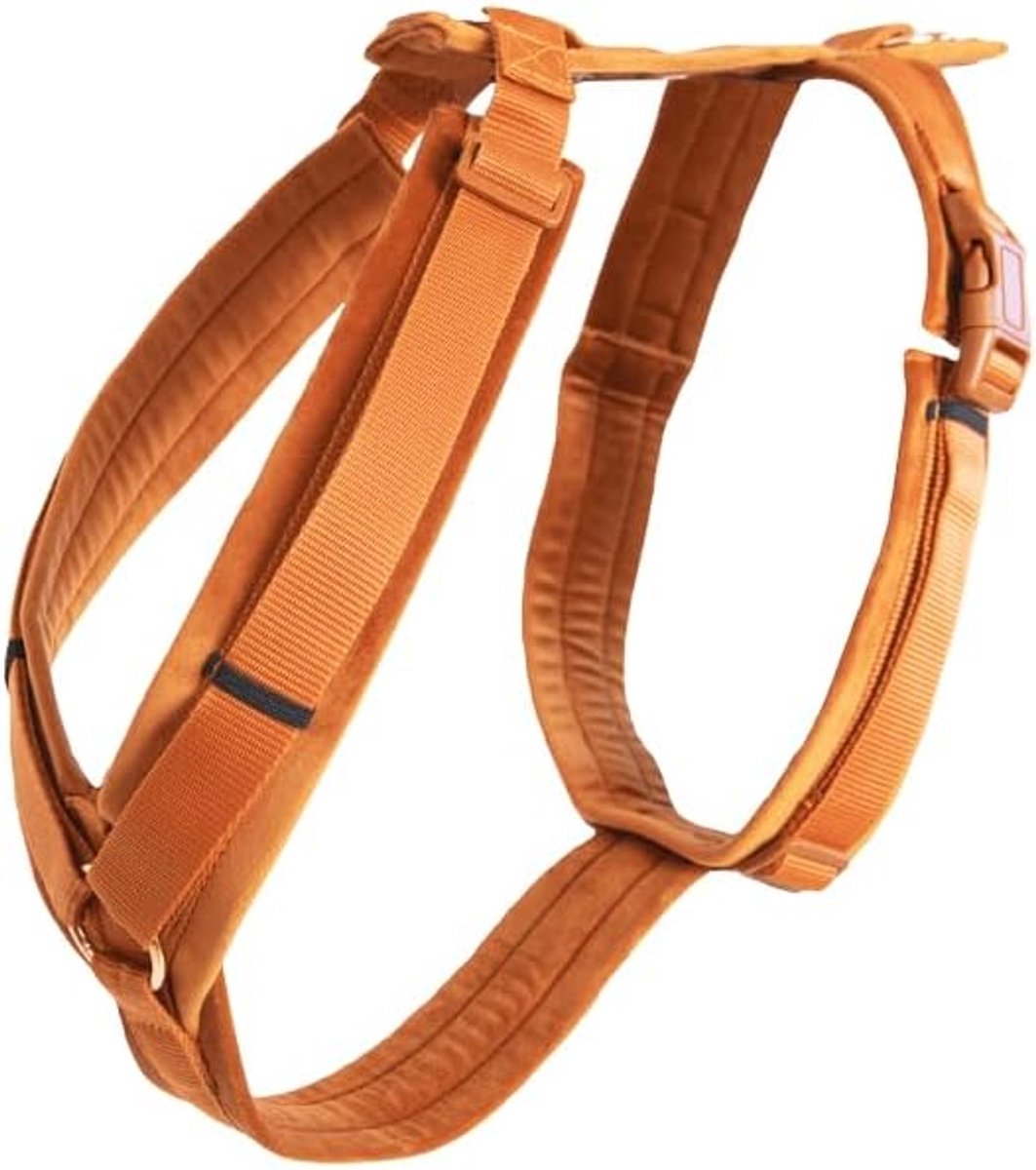 Hondentuigje voor kleine honden (S, 26 - 40 cm) - Velours - Comfortabel en stijlvol - Ideaal voor dagelijks gebruik - ShopVlot