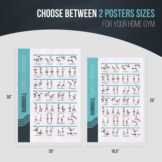 Twee posters met dumbbell oefeningen, 25"x16.5" en 30"x20", voor thuis fitness.