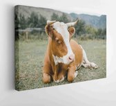 Canvas schilderij -  Productnummer   5652548 - 80*60 Horizontal