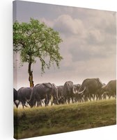 Artaza Canvas Schilderij Kudde Buffels bij een Boom - 40x40 - Klein - Foto Op Canvas - Canvas Print