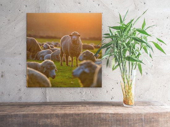 Artaza Peinture sur Toile Troupeau de Moutons au Coucher du Soleil - 30x30 - Klein - Photo sur Toile - Impression sur Toile